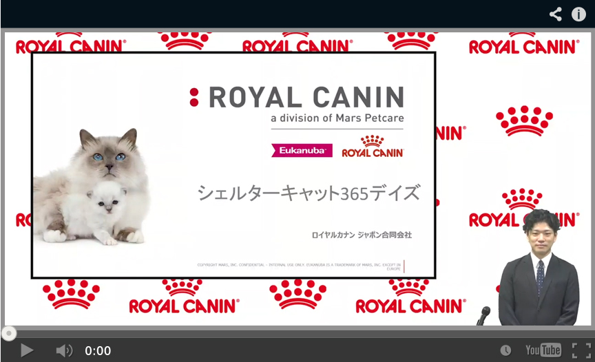 シェルターキャット365デイズ